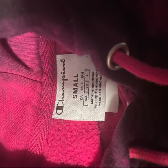 champion hoodie - Picture 3 of 3